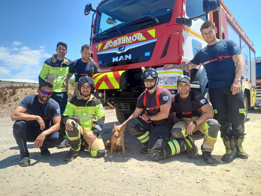 Los bomberos del Poniente rescatan a una perra atrapada en una balsa en Balerma
