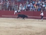 La actuación de los recortadores incluyó saltos tan impactantes como éste.