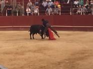 José Magaña, de los que se arrima mucho.