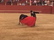 El maestro José Magaña con la muleta.