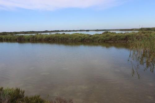 Uno de los lagos de Punta Entinas Sabinar.