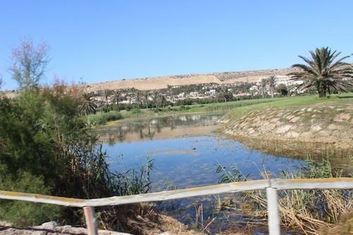 Campo de golf de Almerimar.