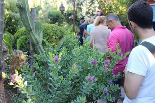 En el jardín botánico de la Almunya del Sur.