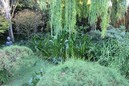 En el jardín botánico de la Almunya del Sur.