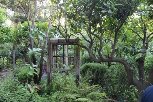 En el jardín botánico de la Almunya del Sur.