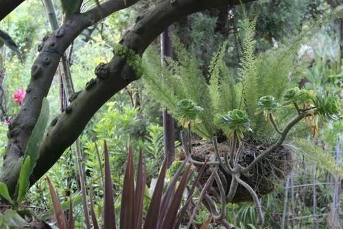 El hermoso jardín botánico de La Almunya del Sur, ubicado entre Tarambana y Balerma