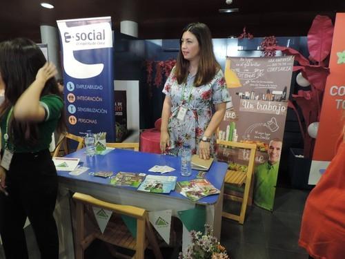 Stand de la empresa Leroy Merlin