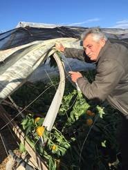 COAG analiza con sus agricultores los daños del granizo