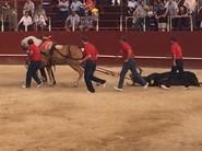 Corrida taurina-goyesca de las fiestas de Santa María del Águila