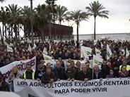 Manifestación reivindicando precios justos para los agricultores