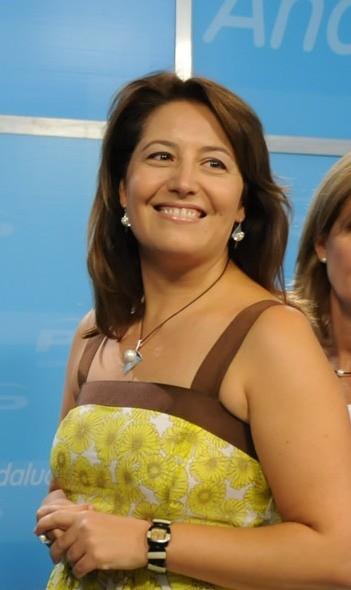 Crespo destaca que las Fuerzas y Cuerpos de Seguridad del Estado desarticularon 110 grupos criminales organizados en Andalucía