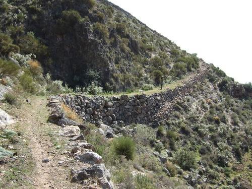 El IMD organiza para este fin de semana una ruta de senderismo al Paraje natural de Tabernas