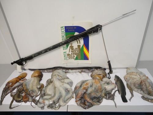 La Policía adscrita a la Junta interviene 23 kilos de pulpo a un furtivo en la playa de Aguadulce por captura ilegal