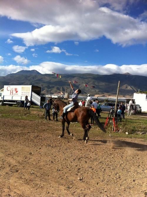 La Junta local y el Club Hípico Santa María del Águila celebran el próximo domingo 1 de marzo el ‘Día del Caballo’