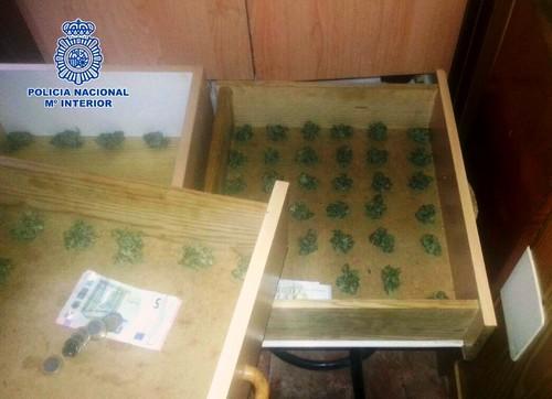 La Policía Nacional desmantela en Almería un punto de venta que suministraba marihuana a menores