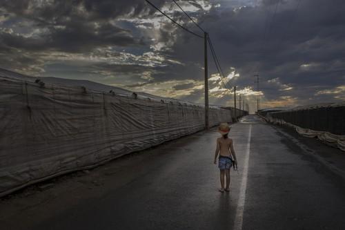 Alcolea acoge hasta el 6 de septiembre la exposición 'Almería, Tierra de Cine'