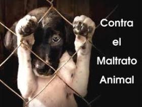 Plataforma quiere declarar a Adra 'Ciudad Libre de Maltrato Animal'