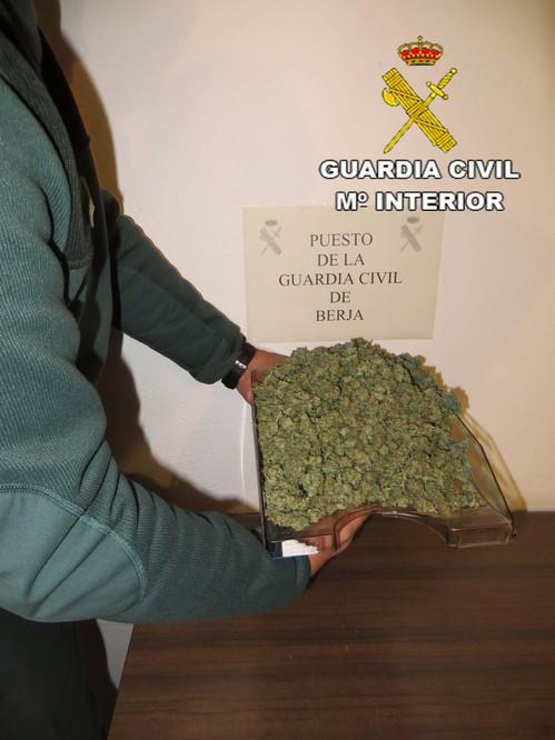 La Guardia Civil de Berja se incauta de 200 gramos de cogollos de marihuana y practica una detención