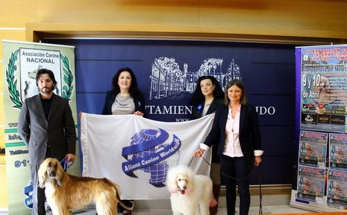 El Ejido se consolida como sede de la 'IV Exposición Canina Internacional' que reunirá a más de medio millar de ejemplares
