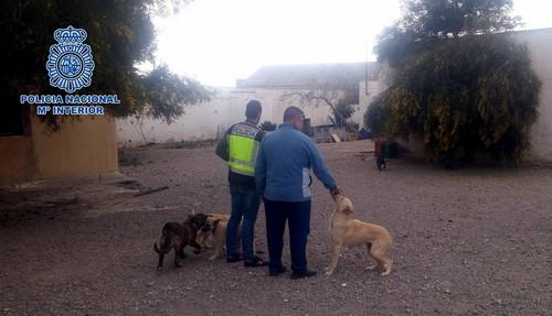 La Policía Nacional detiene a un joven por robar y cometer actos vandálicos en un cortijo de El Ejido