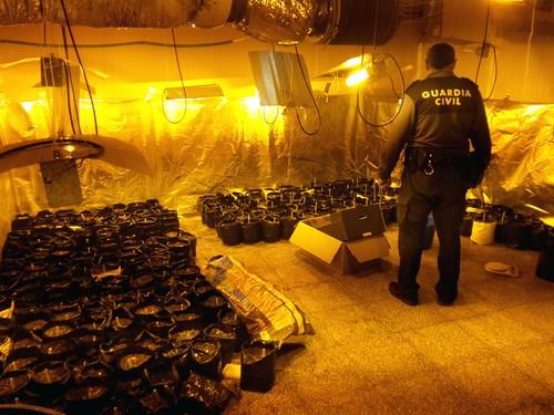 La Guardia Civil desmantela una plantación “indoor” de marihuana y detiene a dos personas