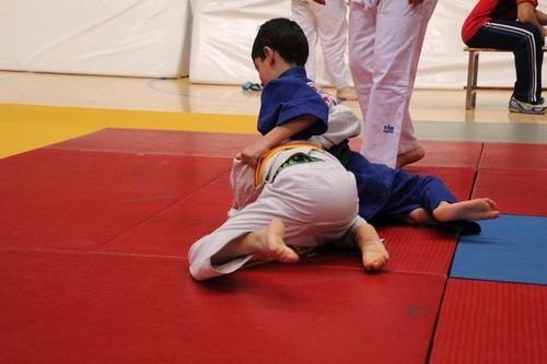 El Pabellón de Deportes de Santa María del Águila acogerá este sábado un Encuentro Educativo de Judo