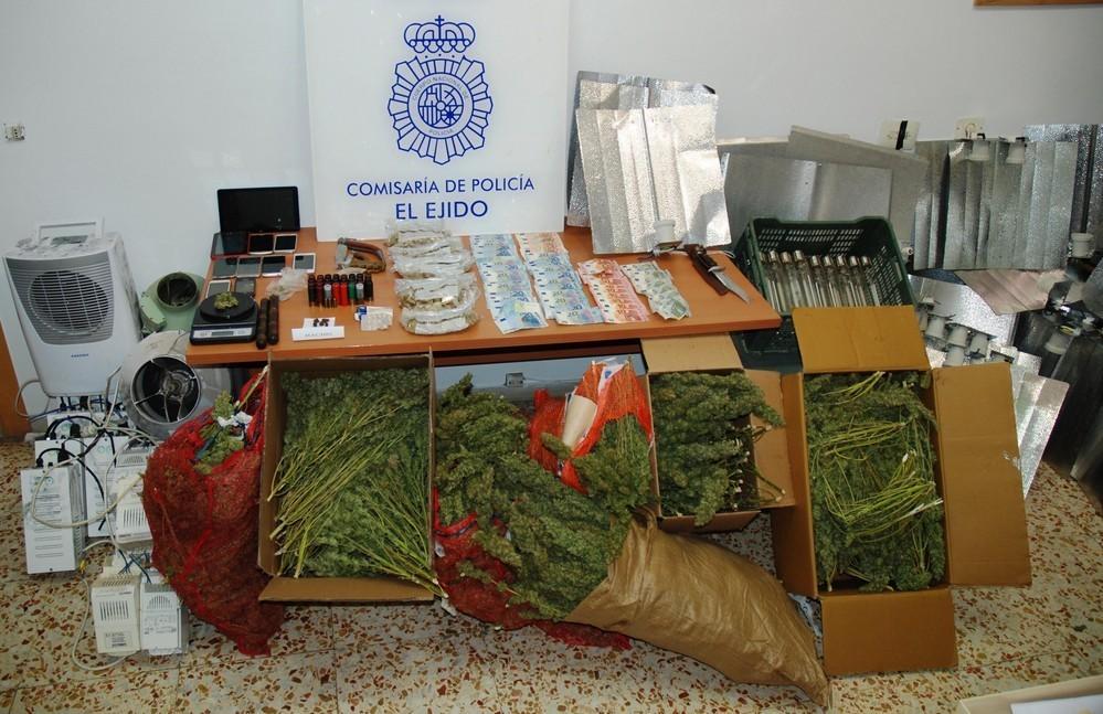 Desmantelan en El Ejido una plantación de marihuana gestionada por un clan familiar de narcotraficantes
