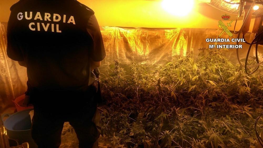 La Guardia Civil detiene a una persona por un delito de cultivo y elaboración de drogas