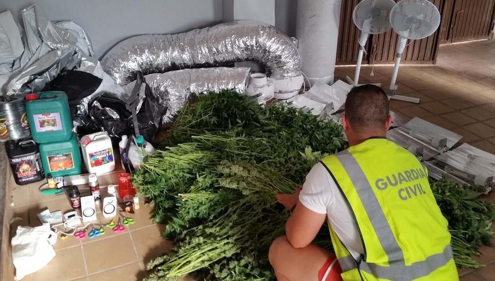 La Guardia Civil detiene a cinco personas en Adra por un delito de cultivo y elaboración de drogas