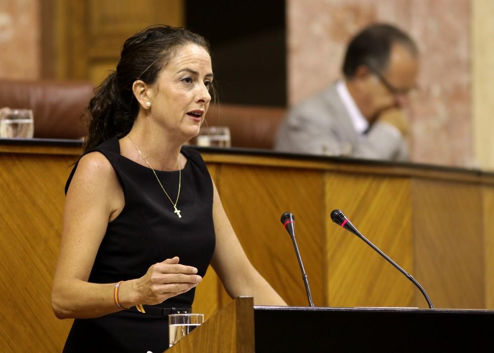 El PP exige a la Junta que atienda los requerimientos del Defensor del Pueblo sobre la atención temprana en Almería