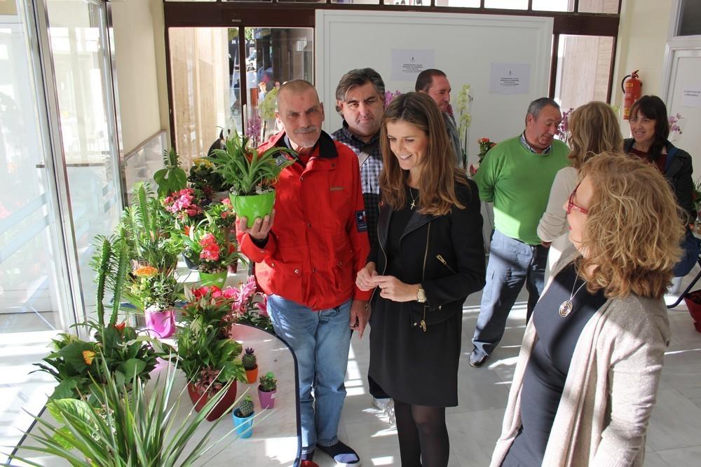 Una veintena de usuarios del Taller de Jardinería de Salud Mental exponen sus trabajos en el Ayuntamiento dentro de la IV Semana de la Discapacidad