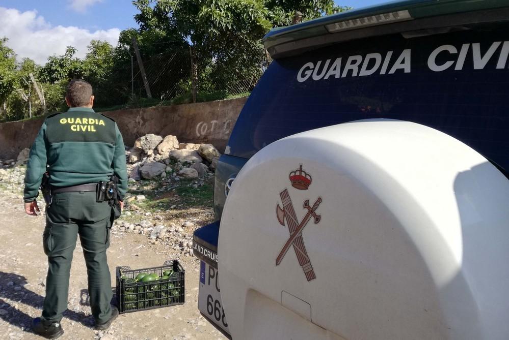 Detenido un vecino de El Ejido como presunto autor de robo con fuerza