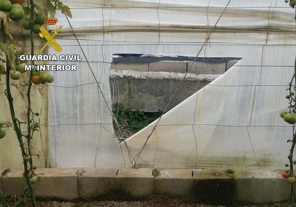 La Guardia Civil detiene al autor de dos robos con fuerza en grado de tentativa en dos invernaderos de El Ejido
