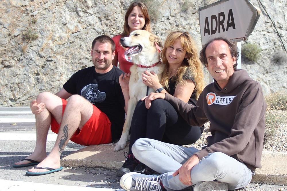El conmovedor ejemplo de fidelidad de Aston Mastín, un perro abandonado en Adra