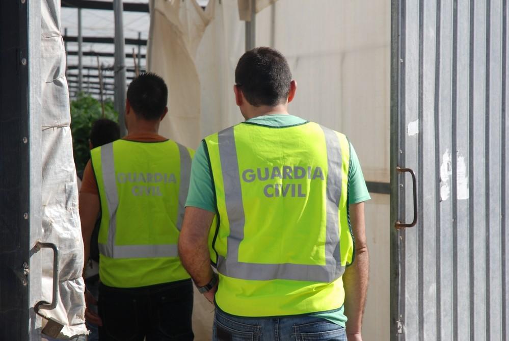 La Guardia Civil sorprende en el interior de una explotación agrícola al autor del robo