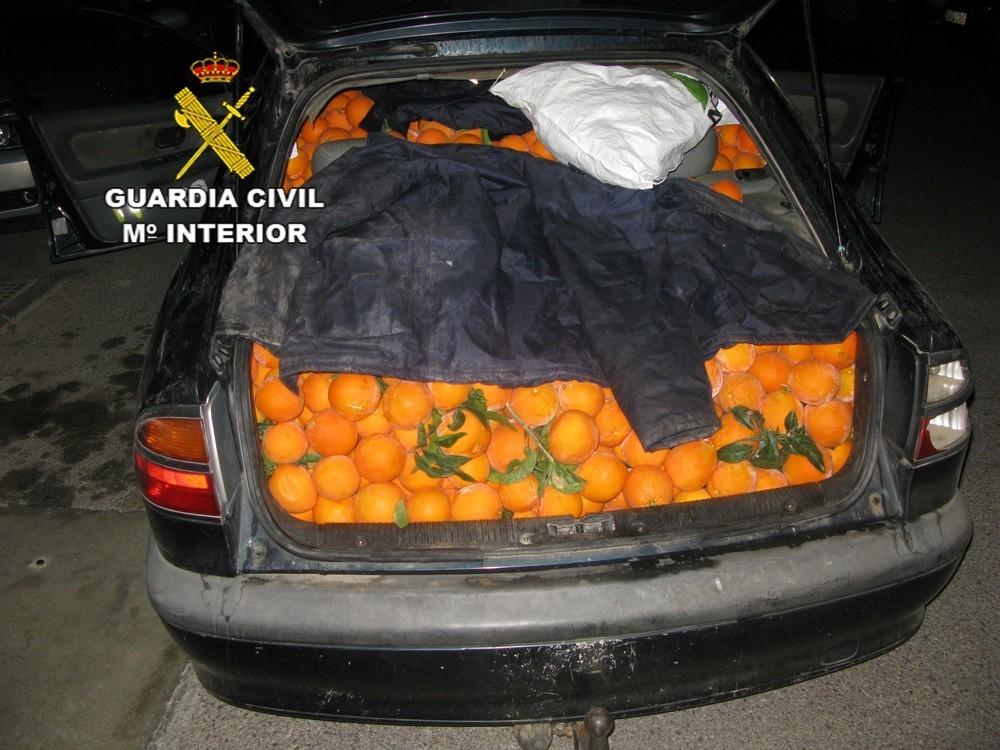 Investigan a un vecino de El Ejido por la sustracción de 800 kilos de naranjas