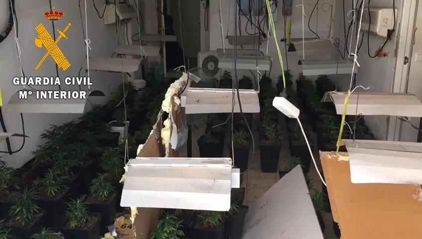 La Guardia Civil desmantela un narco bloque de viviendas dedicado al cultivo de marihuana