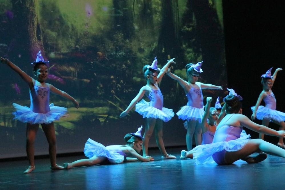 Mucho público en el Festival Benéfico 'Adagio' a favor de la Asociación de Lucha contra el Cáncer de El Ejido