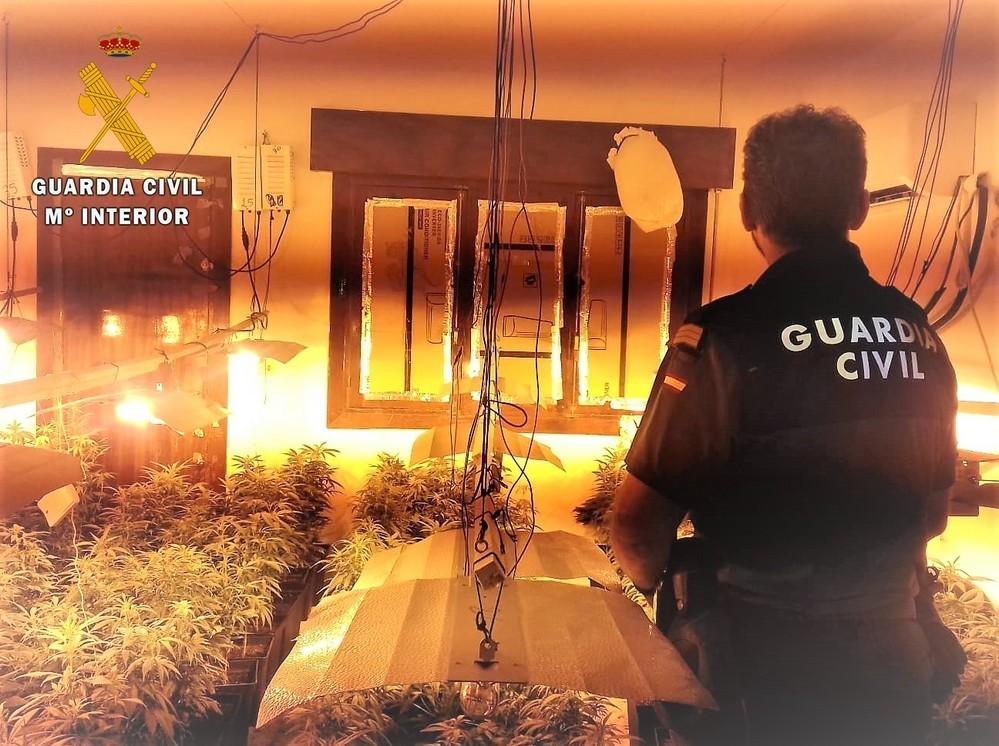 La Guardia Civil interviene 526 plantas de marihuana en una vivienda de Roquetas de Mar