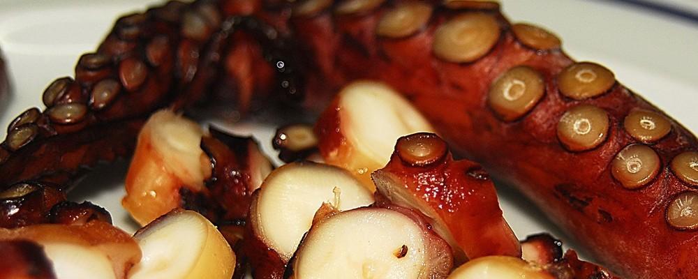Manuel Cortés satisfecho por la incorporación del Pulpo Seco de Adra en la ruta gastronómica ‘Almería Pesquera’