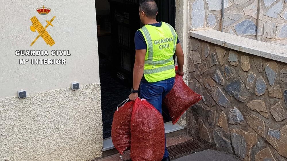 La Guardia Civil detiene a un vecino de El Ejido con casi 10 kilos de marihuana y a otros dos por denuncias falsas para encubrirle