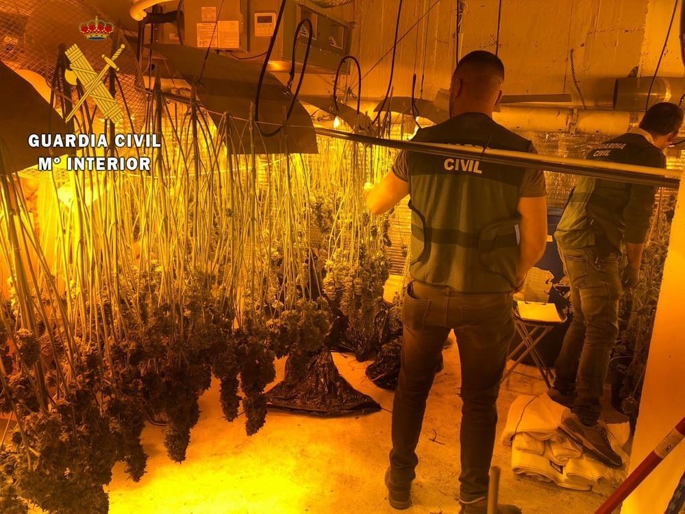 La Guardia Civil desmantela una sofisticada plantación 'in door' en tres dúplex de Vícar y detiene a 4 personas