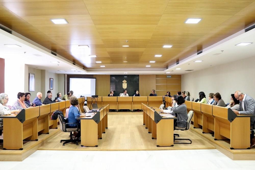 El Consejo Municipal de la Discapacidad centra la atención en la conmemoración del 3 de diciembre y en las mejoras realizadas en materia de accesibilidad