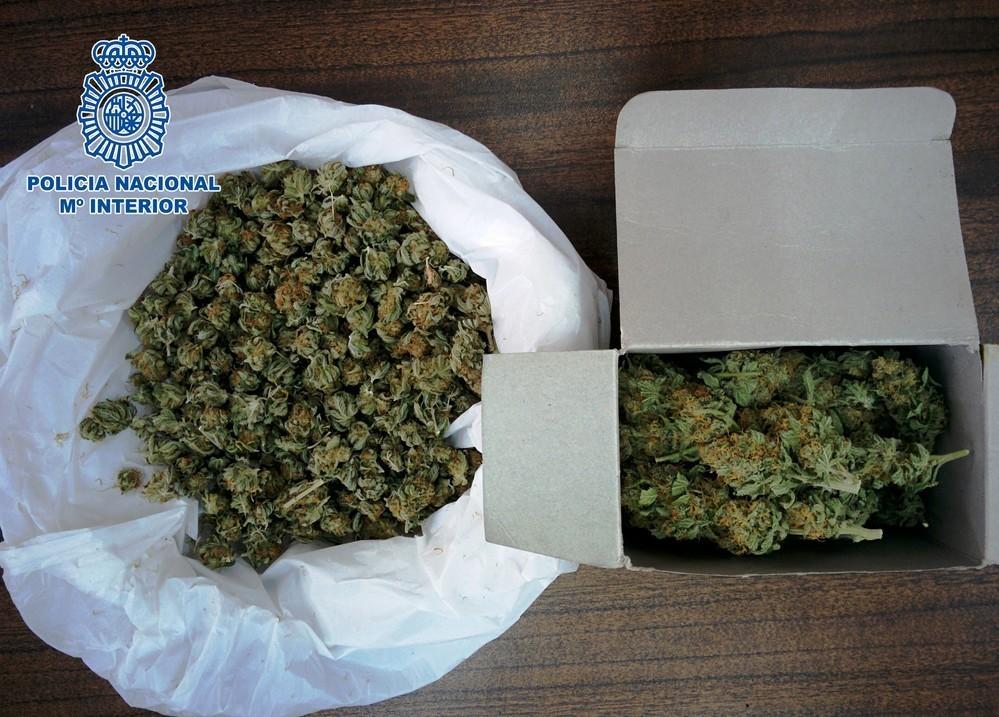 Desmantelados en El Ejido dos puntos de cultivo acelerado y distribución de marihuana