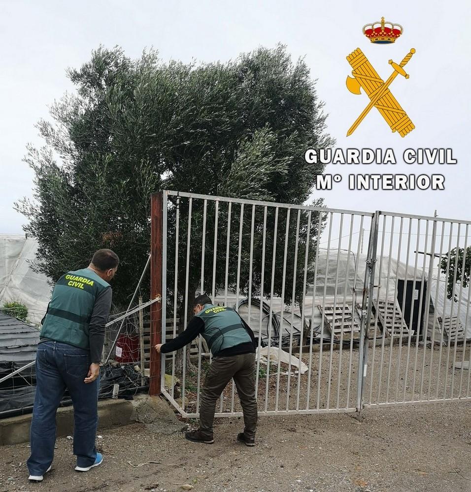 La Guardia Civil detiene a una persona por el  robo con fuerza en grado de tentativa en un invernadero