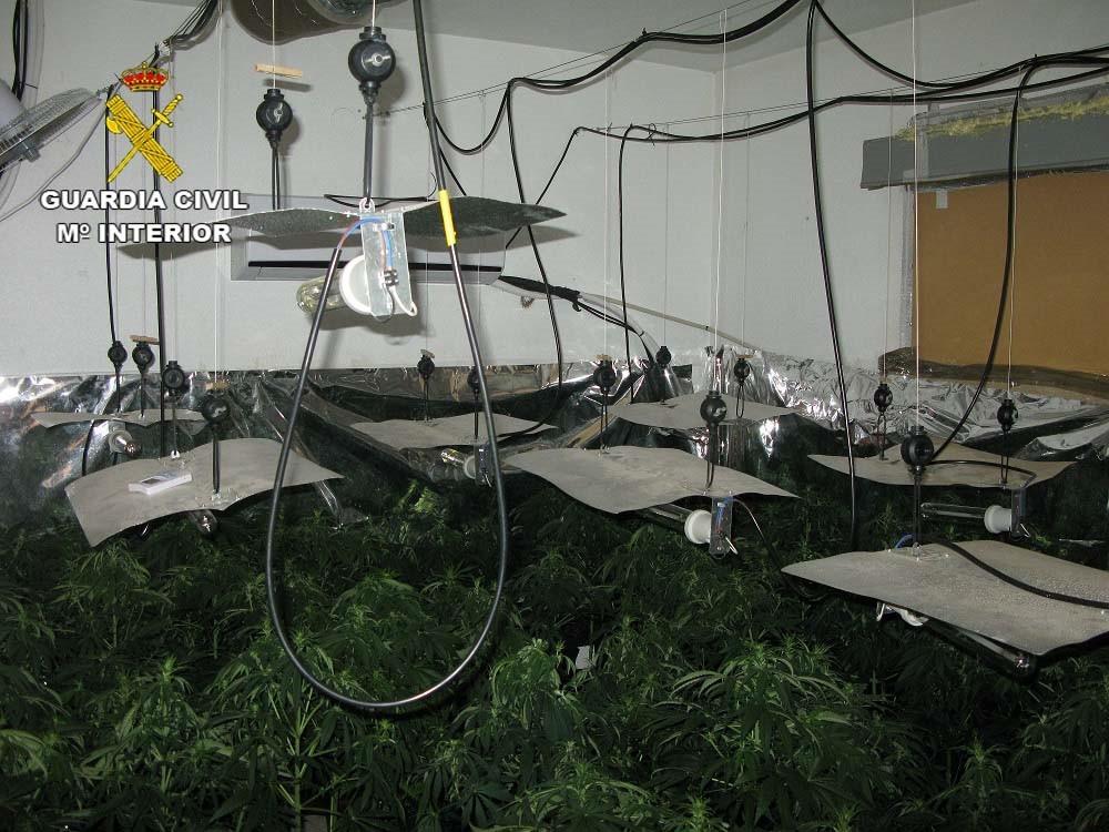 La Guardia Civil localiza una plantación de marihuana en una vivienda de los Llanos de Vícar