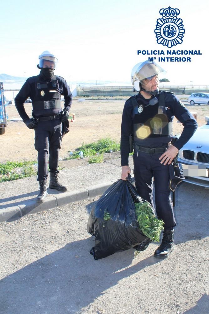 La Policía Nacional incauta 40 kilogramos de marihuana en una vivienda de El Ejido