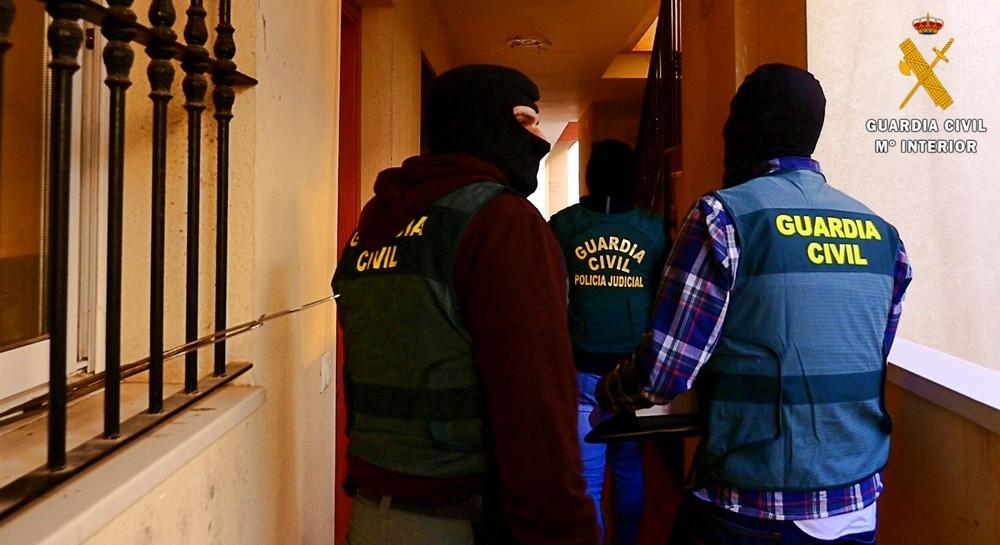 La Guardia Civil localiza más de 3000 plantas de marihuana en una macro operación con más de 12 registros en viviendas