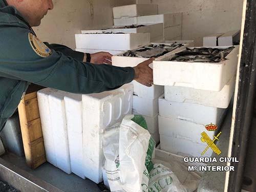 La Guardia Civil interviene más de 500 kilos de pescado y 75 paños de redes de trasmallo en dos actuaciones diferentes