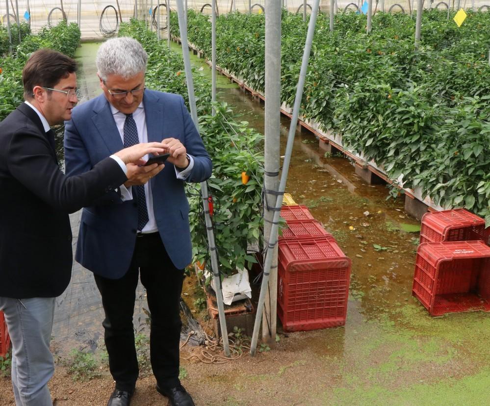 El alcalde y el director general de Planificación y Recursos Hídricos visitan los invernaderos afectados por la subida del nivel del agua en la Cañada de Onáyar